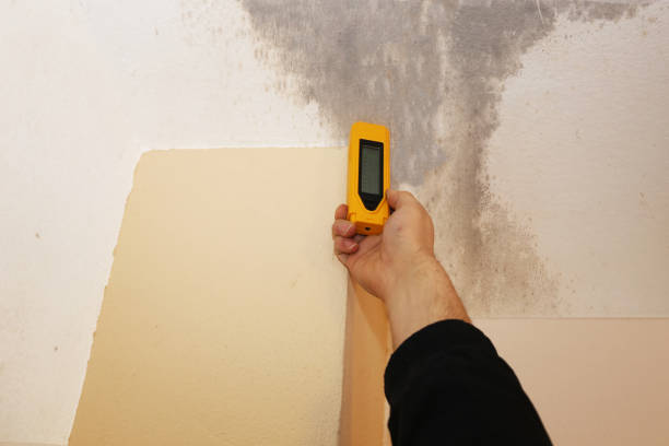 Best HVAC Mold Inspection and Cleaning  in Darlington, SC