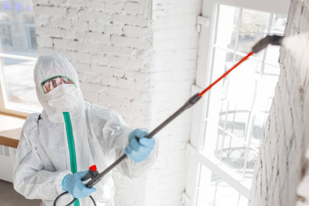 Best Environmental Consulting for Mold Prevention  in Darlington, SC