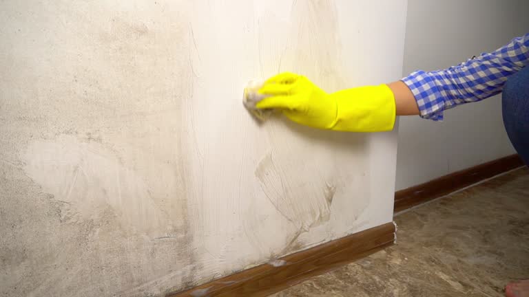 Best Biohazard Mold Removal  in Darlington, SC
