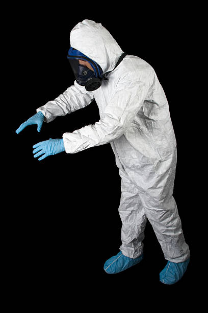 Best Basement Mold Removal  in Darlington, SC